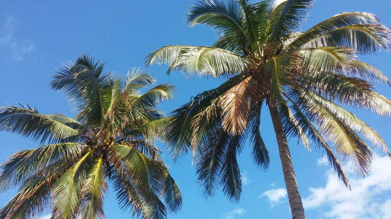 26247F3E58A924592D9549