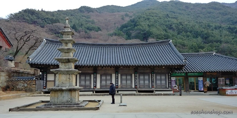 9928E84E5A36146323784A