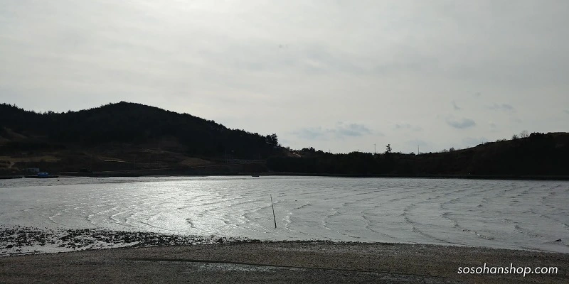 991007455A3611970BF0CF