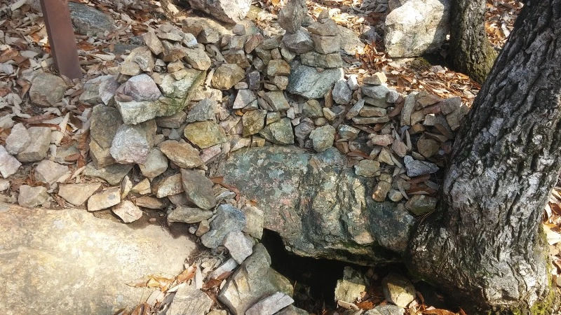 261201485821C7DF1B5B15