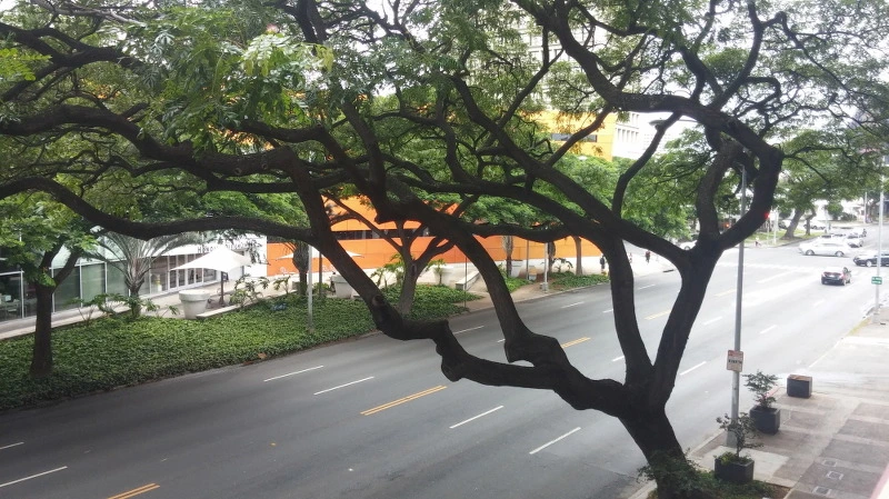 254D8F3758AA34482E7699