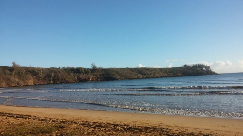 22197F3558B529270C8178