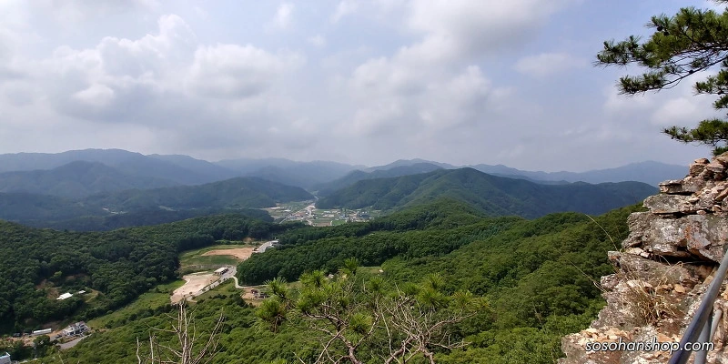 256DFF3A59536A220E8E88