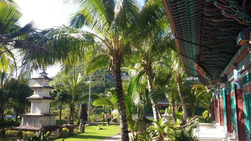 274C2C3558A8DFBB0FFD44