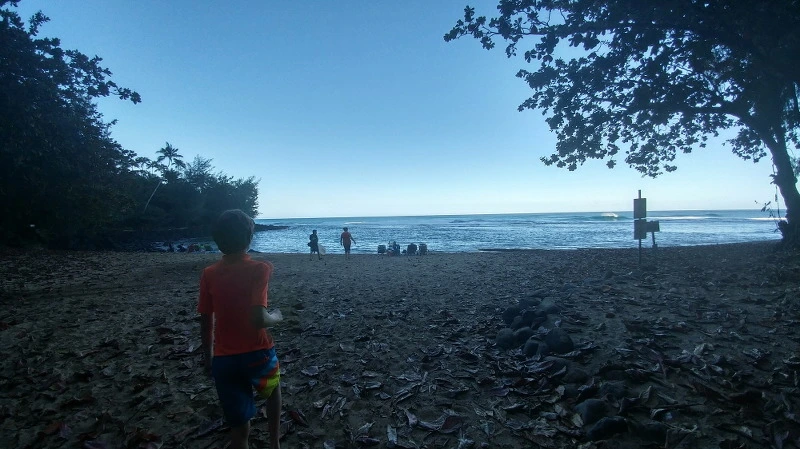 276C1B4458B52B2C1BA043