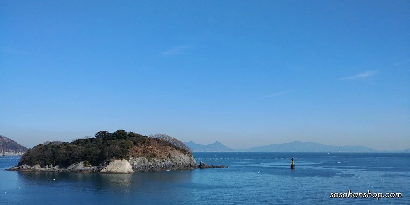 996416455A35F9072193BA