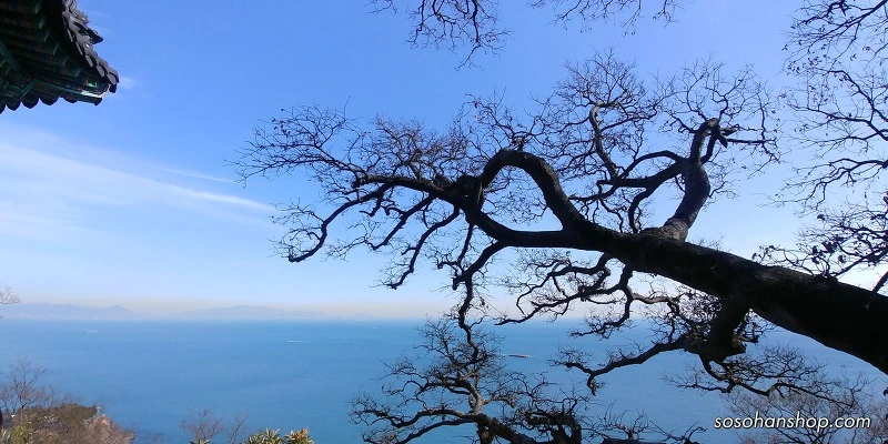 99943E425A35FADC1DB66B