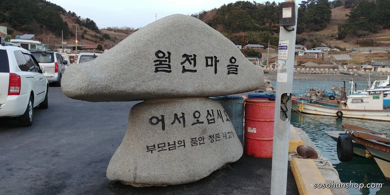 999D5A485A35FC0E35E491