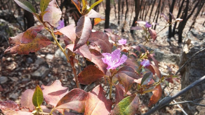 250B154E5821C802193BE4