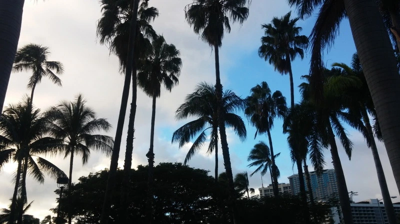 257FF84558B384451F7DF5