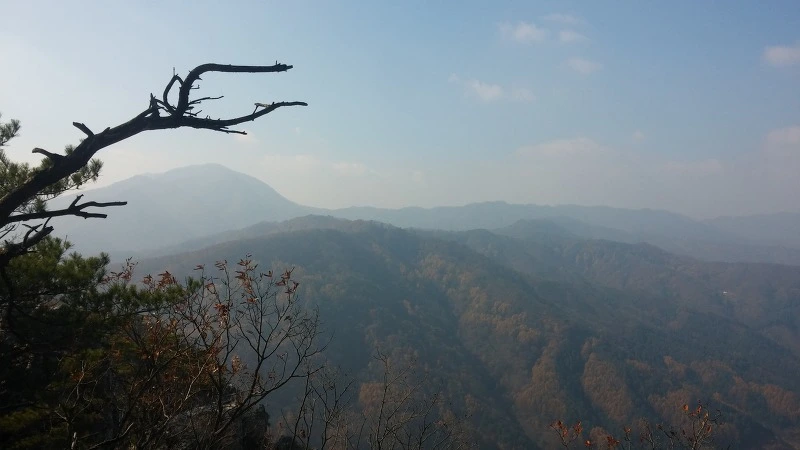 254023495821C81935B96A