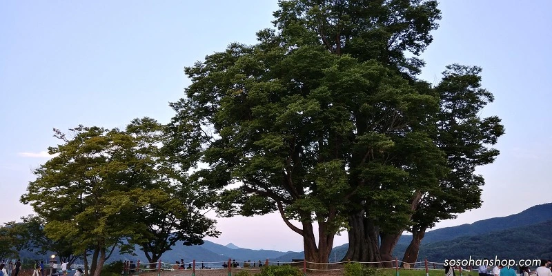 9913E33359AAB17434BD26