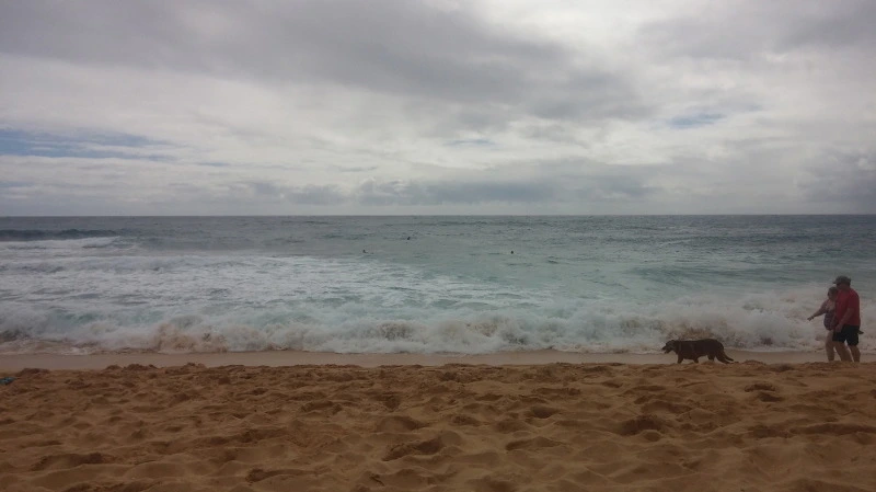 266C1B4658B3A64A08D367