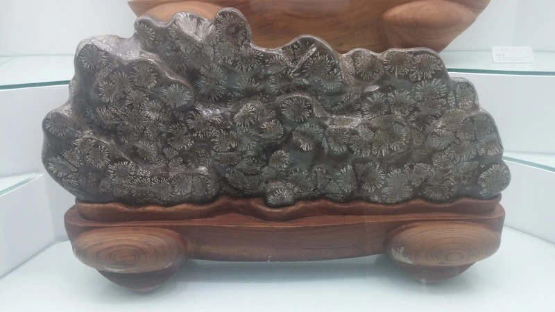 215EFF3E57B9173A18411C