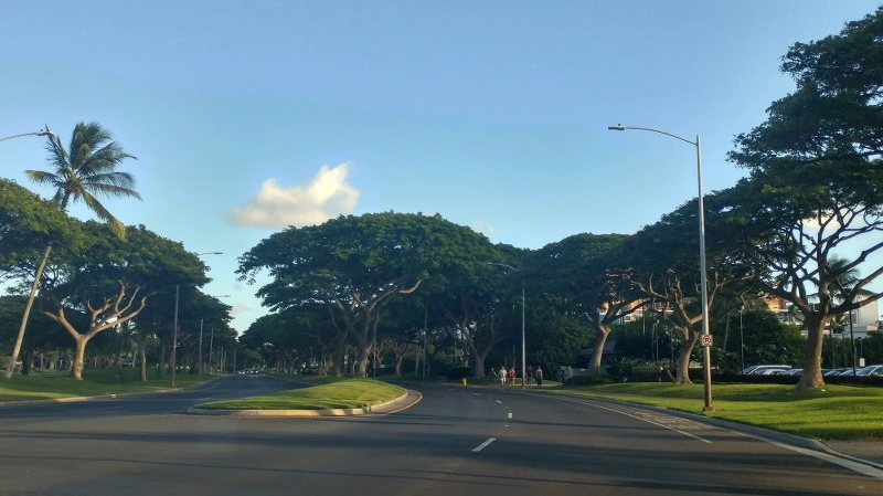 2558D03C58B54E1D116C7B