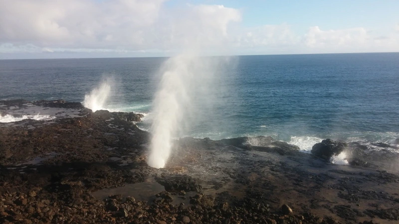 223CFE4458B529960F2C28