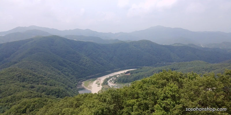 261C913959536A300FE7DD