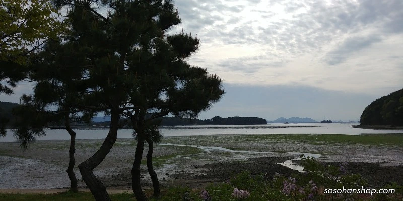 99F3293C5AD3F10037AF62