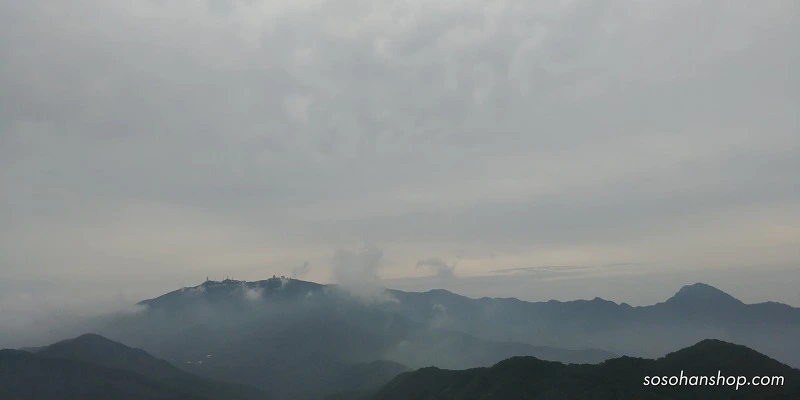 993CCF33598BA38816F95B