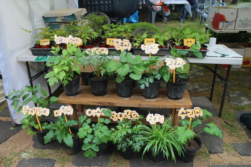 2343F945572C3BF5205FF8