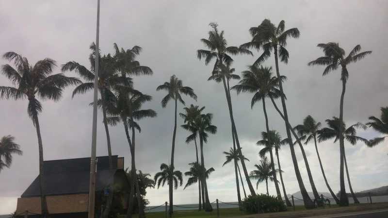 2279BE4458B3A65211B73A