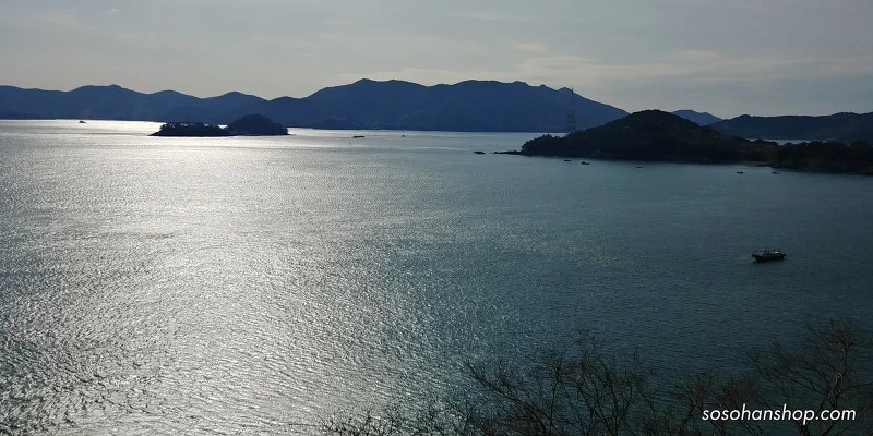 999F84475A35FB3A32FF51