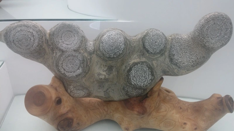 236EC73E57B917300A640F