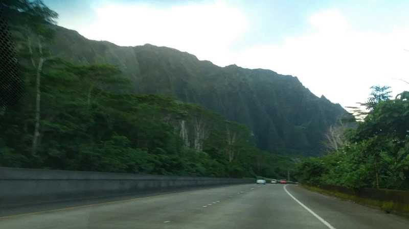 227B4F3E58B54E0F24506E