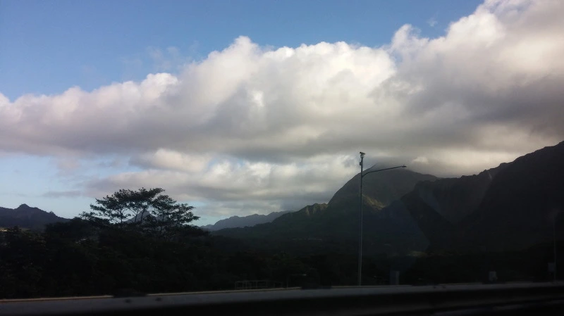 245E093D58B54C531C1699