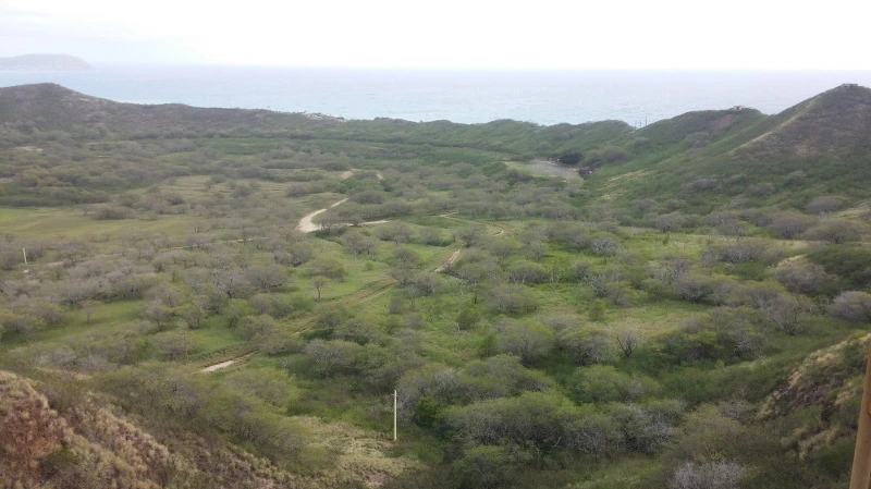 265A5E3758AA345225B5DE