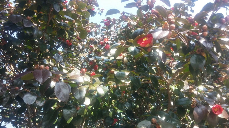 251D103458B3718722557F