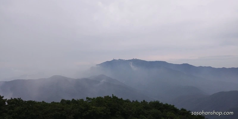 994DEA33598BA3641854E7