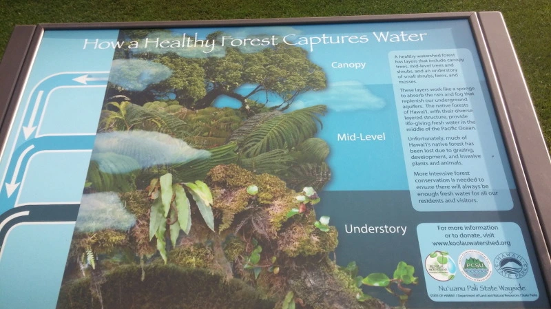 2464763D58B54C5A041F31