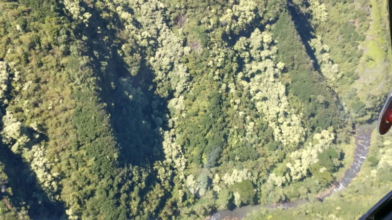 23435A3D58B52C670FE197