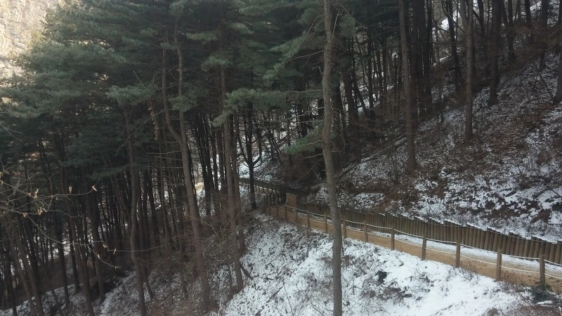 236C263858A7A45817933C