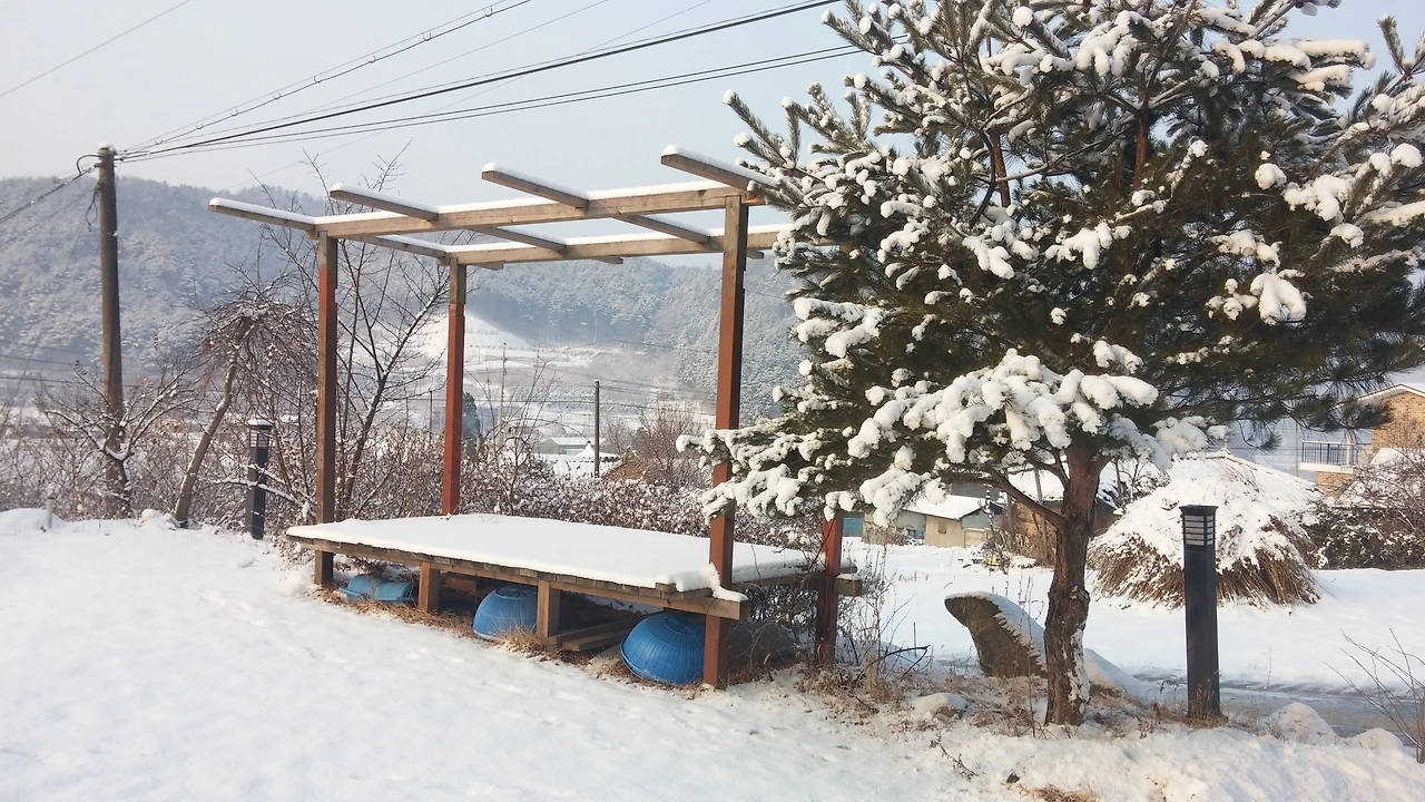 2015-01-19 09.13.26.jpg