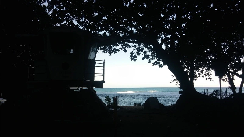 2520FF3658B529313211D6