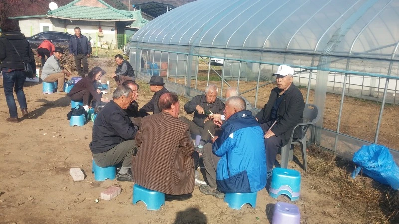 2453B74F583252EE326332