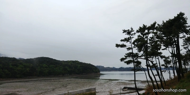 991C68365AD3F1822DD1A0