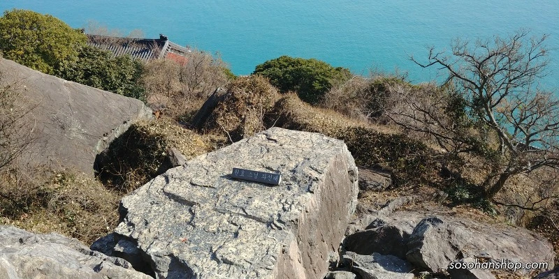 990DF4485A35FA581E9223