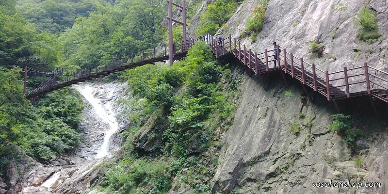 210B4F46595CE70A2A080A