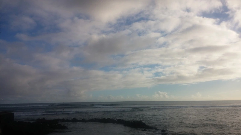 24620E4458B5299A1D77D0