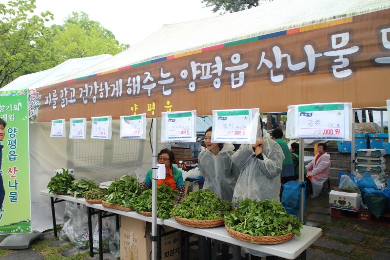 243C1E44572C3BFA0EFF57