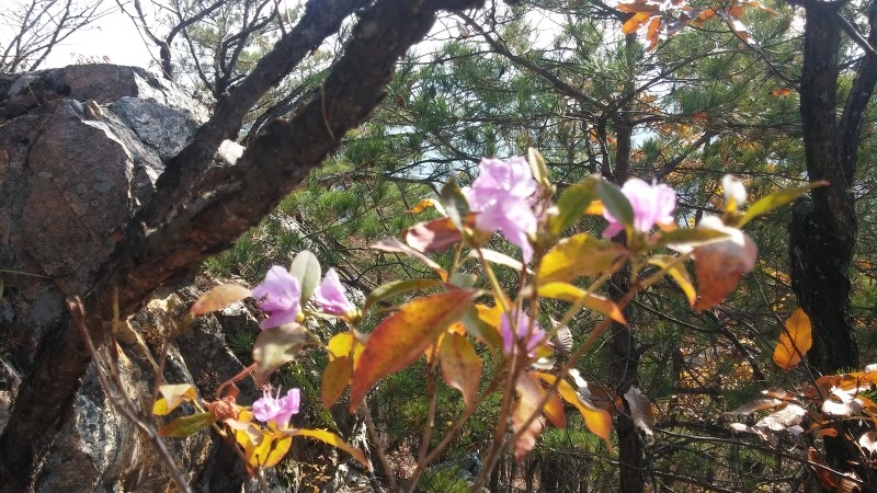 230D2F4E5821C804163B20