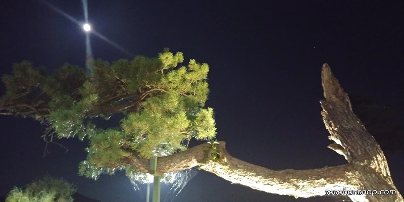 99FDAA3359AAB1D72F213A