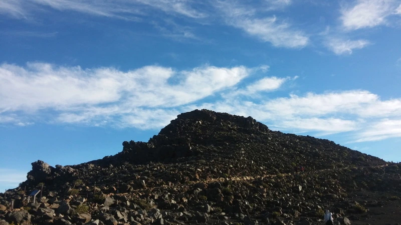 2131893558ACD76F202316