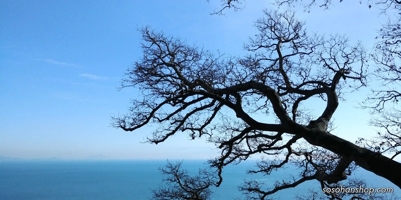 9988B44A5A35F9B625DA38