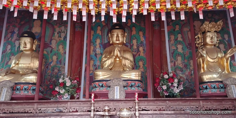 997C5C425A3614922DADCA