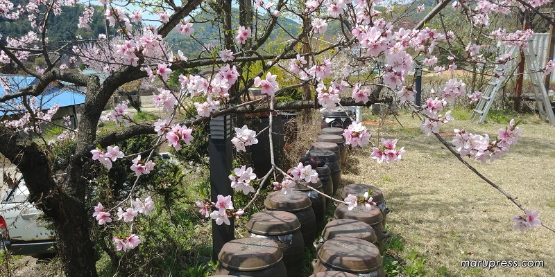 22680E4A58FBF84608186E