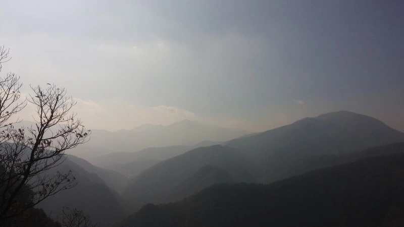 263D06495821C81E39AEFB